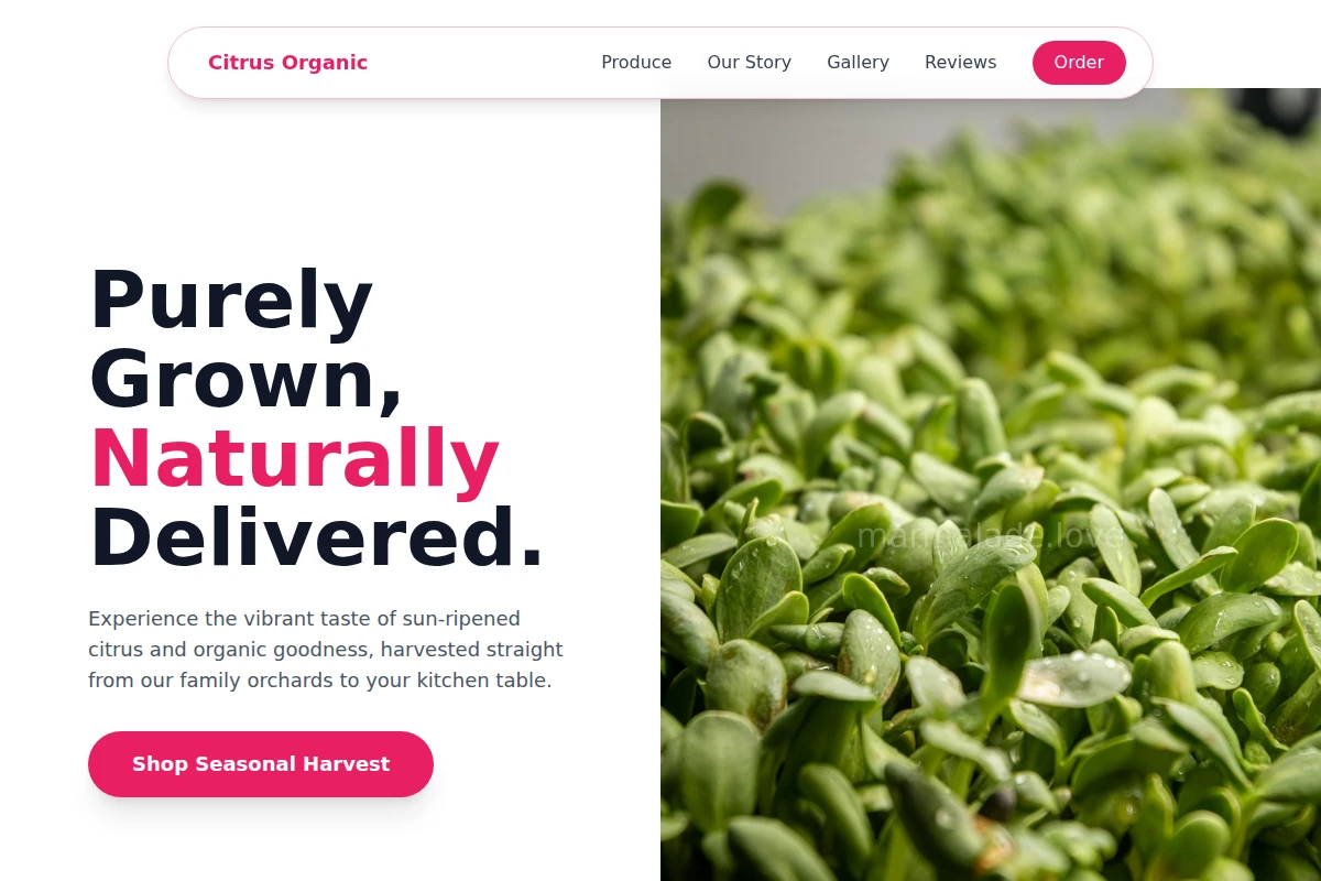 organic-food